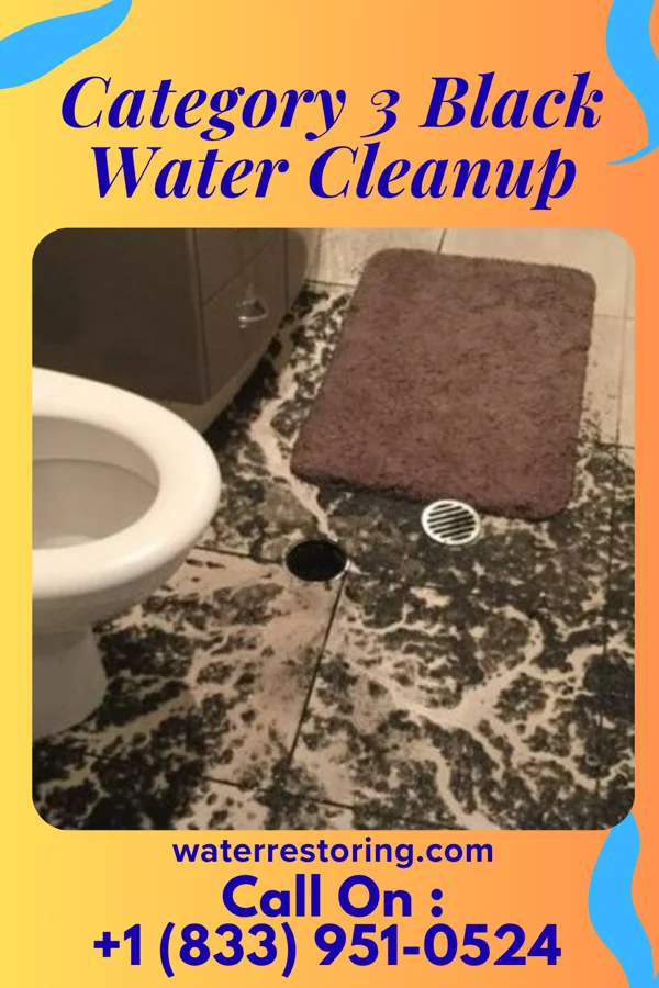 Category 3 Black Water Cleanup in Shuqualak, MS