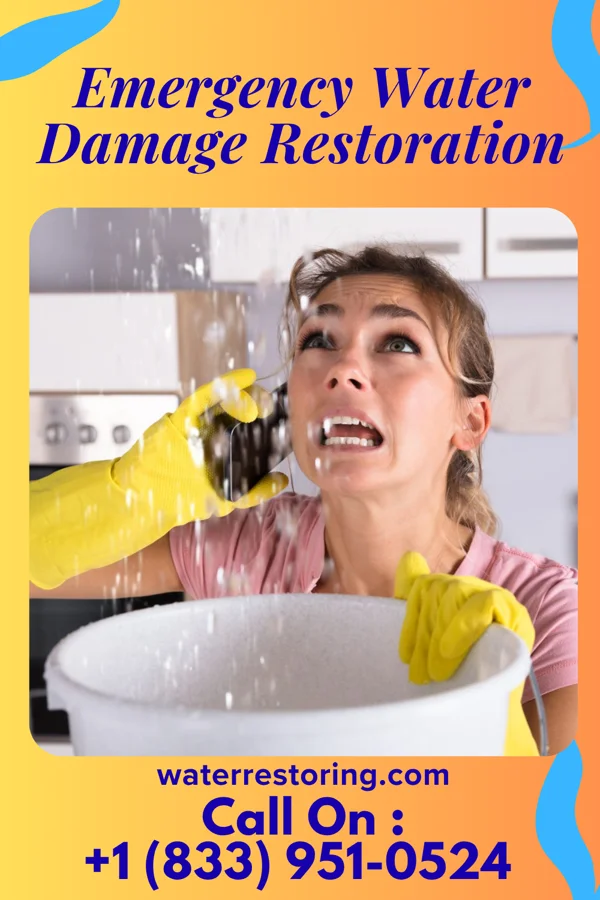 Emergency Water Damage Restoration in Shuqualak, MS