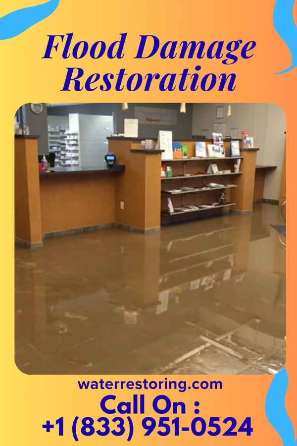 Flood Damage Restoration in Shuqualak, MS