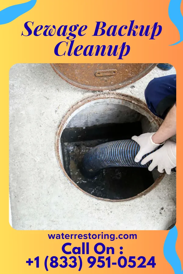 Sewage Backup Cleanup in Shuqualak, MS