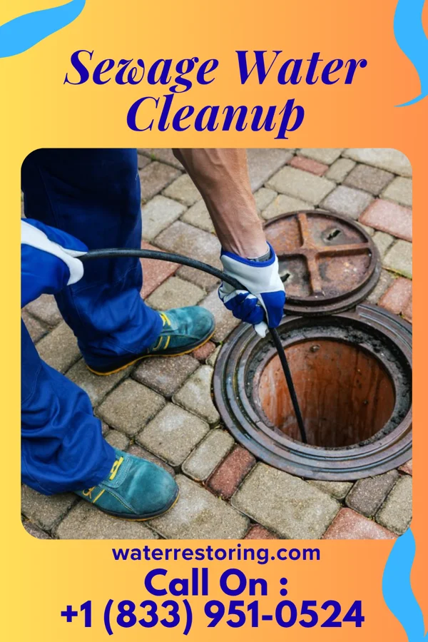 Sewage Water Cleanup in Shuqualak, MS