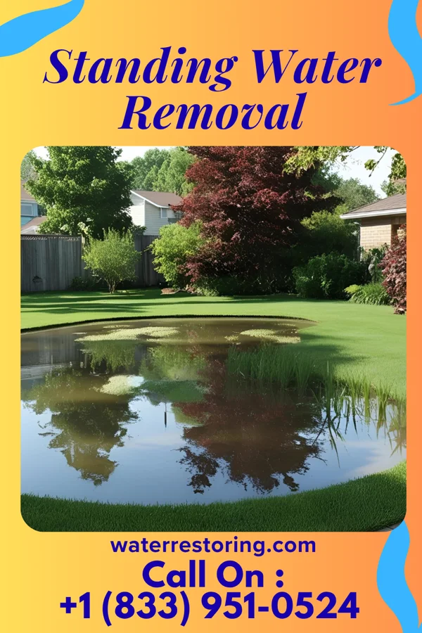 Standing Water Removal in Shuqualak, MS